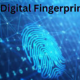 Digital Fingerprints: